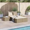 vidaXL Double Sun Lounger Beige Poly Rattan, Powder-Coated Steel Double
