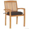 vidaXL Patio Chair Set of 2 Taupe, Natural