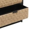 vidaXL Bedside Cabinet Black, Natural Solid Mango Wood, Iron, Jute