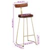 vidaXL Bar Stool Set of 2 Brown and Gold Solid Mango Wood, Iron Standard