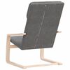 vidaXL Relaxing Chair Dark Grey