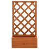 vidaXL Planter Orange Solid Firwood Medium Durable Planter