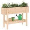 vidaXL Patio Raised Bed  101x30 x 27.2 " Solid Wood Pine