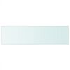 vidaXL Glass Panel Set of 2 Clear Tempered glass 35.4 x 9.8 in Durable