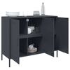 vidaXL Sideboard Anthracite Cold-rolled steel Medium Adjustable Feet
