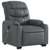 vidaXL Electric Stand Up Massage Recliner Chair Gray