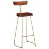 vidaXL Bar Stool Set of 2 Brown and Gold Solid Mango Wood, Iron Standard