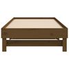 vidaXL Day Bed Honey brown Solid pinewood Full Pull-Out Day Bed