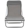 vidaXL Sunlounger Set of 2 Grey Powder-coated steel