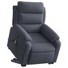 vidaXL Electric Stand Up Massage Recliner Chair Dark gray