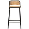 vidaXL Bar Stool Set of 4 Brown and Black Solid Rough Mango Wood and Iron