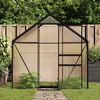 vidaXL Greenhouse Anthracite Aluminum, Polycarbonate 26.6 ft²