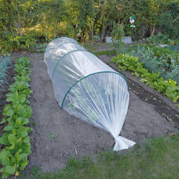 Nature Plant Cover Transparent Polyethylene (LDPE) 13.1 x 19.7 ft