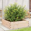 vidaXL Garden Planter Natural Wood Solid Pine Wood 31.5 x 31.5 x 9.1 in