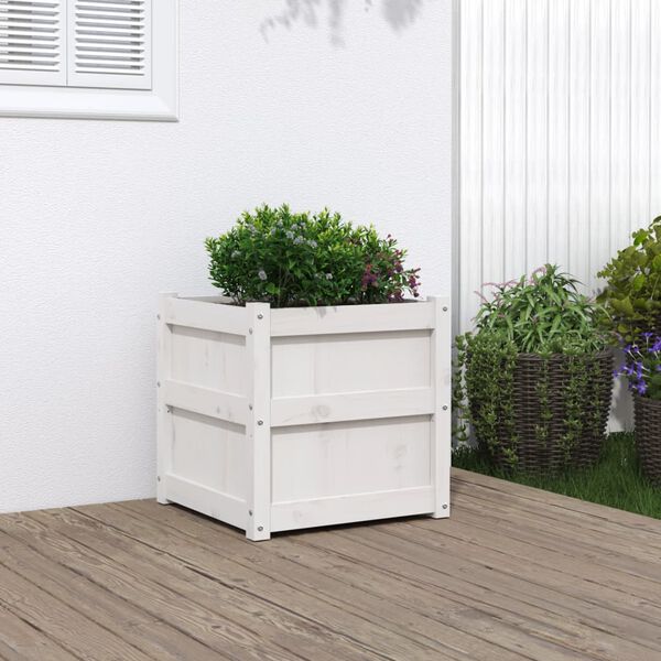 vidaXL Garden Planter White Solid pine wood 19.7x19.7x19.7 in