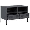 vidaXL TV Cabinet Anthracite Cold-rolled steel Medium Adjustable Feet