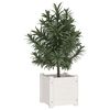 vidaXL Planter White Solid pinewood 12x12x12 in Planters Planter