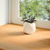 vidaXL Window Sills 2 pcs Light Brown 27.6x15.7x0.8" Solid Wood Oak