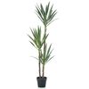 Emerald Artificial Yucca Plant Green Polyethylene 59.1 in