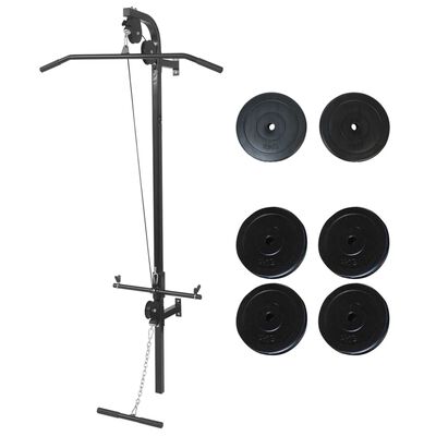 vidaXL Wall-mounted Power Tower with Weight Plates 88.2 lb