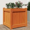 vidaXL Garden Planter Wax Brown Solid Pine Wood Medium Decorative Inlays