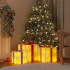 vidaXL Lighted Christmas Box Set of 3 White, Red, Gold, Blue