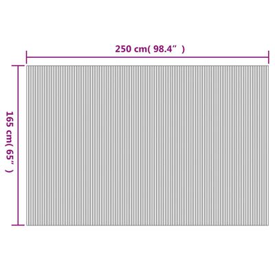 Diagram showing dimensions: 250 cm (98.4 inches) width and 165 cm (65 inches) height, indicating a large mat or rug.