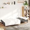 vidaXL Sofa Bed Dark Gray Velvet (100% polyester), wood, plastic
