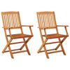 vidaXL Garden Chair Set of 2 Natural wood Solid eucalyptus wood Standard