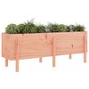 vidaXL Garden Raised Bed Brown Solid Douglas Fir Wood Medium Durable