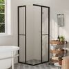 vidaXL Shower Cabin ESG 31.5"x27.6"x70.9"