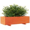 vidaXL Garden Planter Wax Brown Solid Pine Wood Large Decorative Inlays