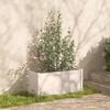 vidaXL Garden Planter White Solid pinewood Medium Garden Planter