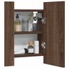vidaXL LED Mirror Cabinet Brown Oak Engineered Wood, Acrylic Medium