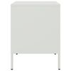 vidaXL Bedside Cabinet White Steel 14.2 x 15.4 x 19.9 in Bedside Cabinet