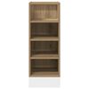 vidaXL Bottom Cabinet Artisan oak Engineered wood Compact