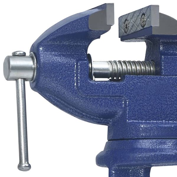vidaXL Bench Vice Cast Iron 2.36 "