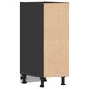 vidaXL Bottom Cabinet Black Engineered wood Compact Adjustable Feet