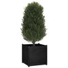 vidaXL Garden Planter Black Solid pinewood Medium Sturdy