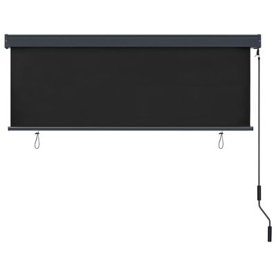 vidaXL Outdoor Roller Blind 63"x98.4" Anthracite