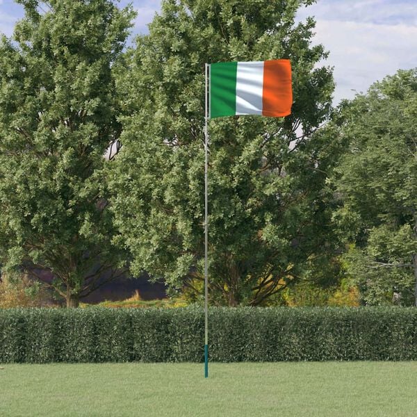 vidaXL Ireland Flag Flag: Multicolor (Green, White, Orange); Pole: Silver