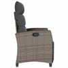 vidaXL Reclining Garden Chair Grey PE rattan, powder-coated steel Medium