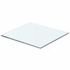 vidaXL Glass Panel Set of 2 Clear Tempered Glass 15.7 x 11.8 in Sturdy
