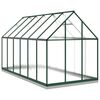 vidaXL Greenhouse Green, Transparent