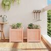 vidaXL Garden Planter Set of 2 Natural wood Solid Douglas wood Large