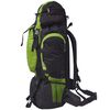 vidaXL Hiking Backpack XXL 19.8 gal Black and Green