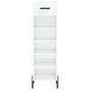 vidaXL Shoe Cabinet High gloss white Engineered wood, Iron, Zinc alloy