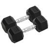 vidaXL Dumbbells 2 pcs 35.3 lb Total Cast Iron