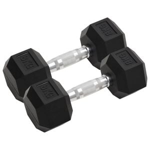 vidaXL Dumbbells 2 pcs 35.3 lb Total Cast Iron