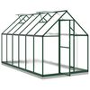 vidaXL Greenhouse Green, Transparent